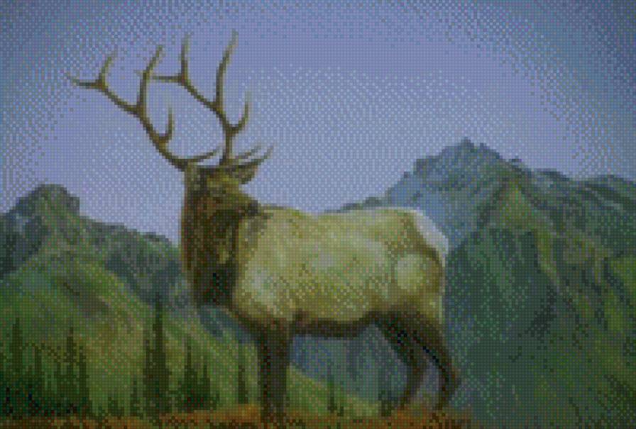 олень - предпросмотр