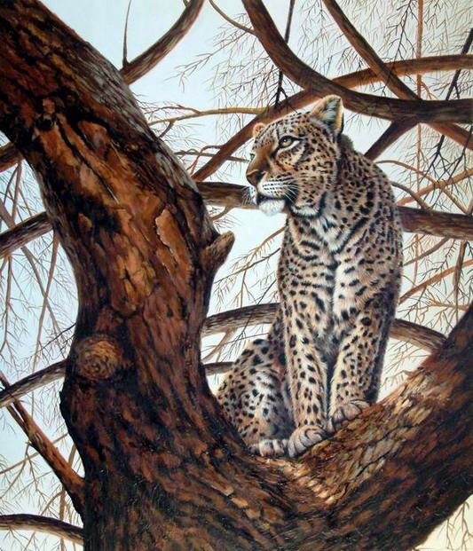 дикая кошечка - оригинал