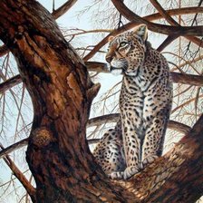 Схема вышивки «дикая кошечка»