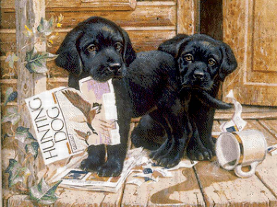 №489682 - собака, животные - предпросмотр