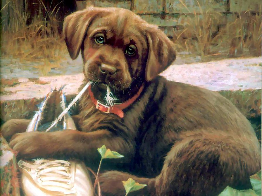 №489688 - картина, животные, собака - оригинал