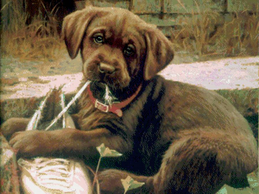 №489688 - собака, картина, животные - предпросмотр