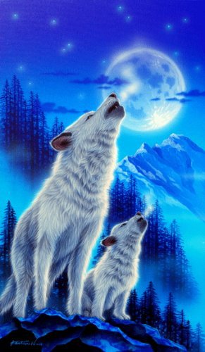 Картины Кентаро Нишино - животные, природа, волк, луна, ночь - оригинал