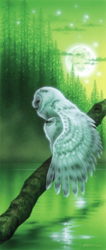Картины Кентаро Нишино - природа, луна, птицы - оригинал