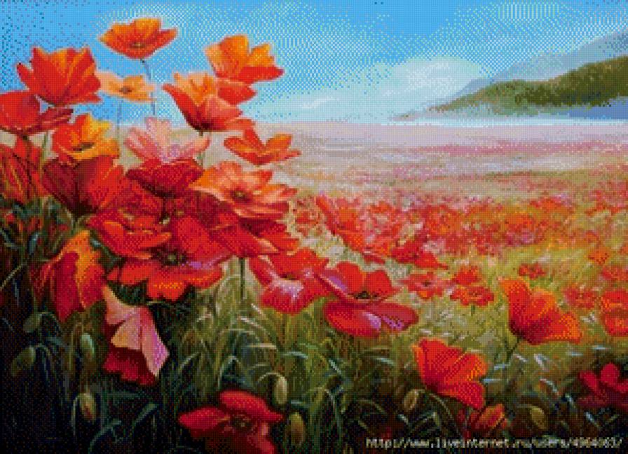 Краски лета - лето, пейзаж, маки - предпросмотр