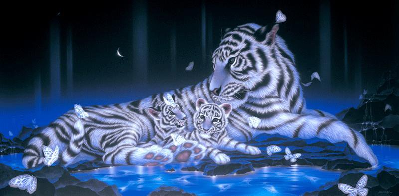 Картины Кентаро Нишино - вода, природа, бабочка, ночь, тигр, насекомые - оригинал