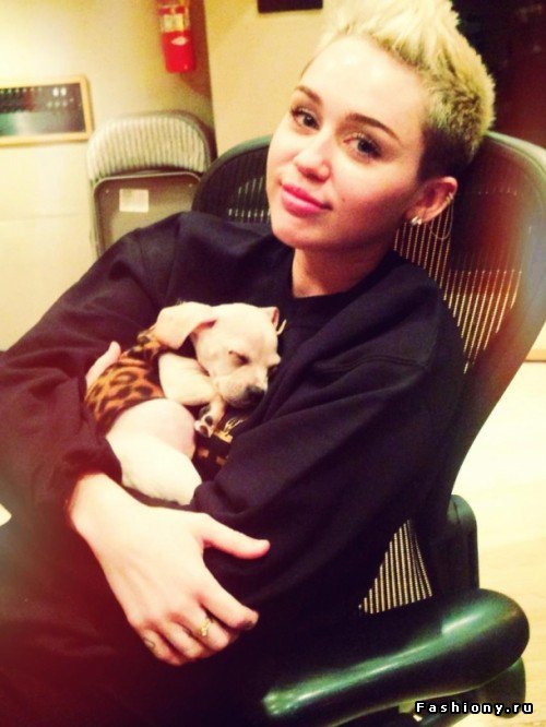 Майли Сайрус - оригинал