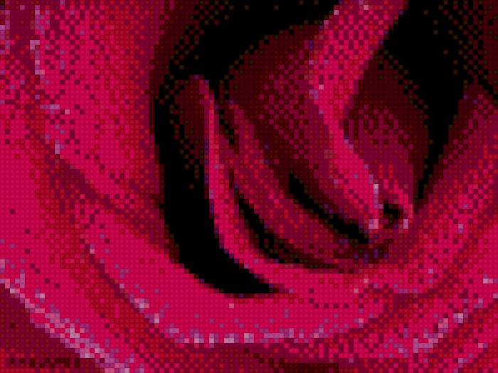 Роза - цветы, роза, макро - предпросмотр