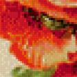Предпросмотр схемы вышивки «триптих маки правая часть» (№490027)