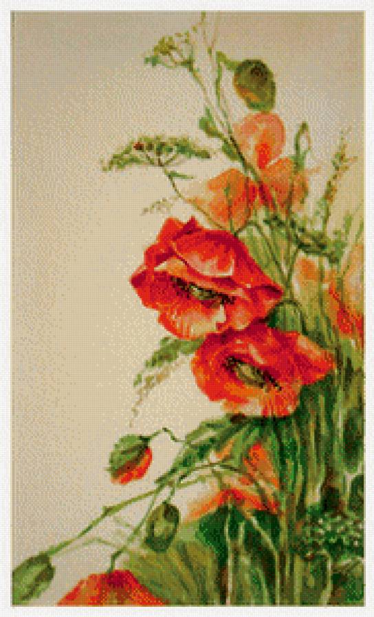 триптих маки правая часть - живопись, цветы, ромашка, букет, мак - предпросмотр