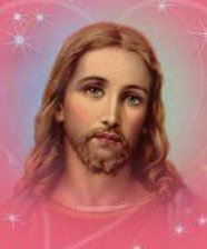 Схема вышивки «№490045»