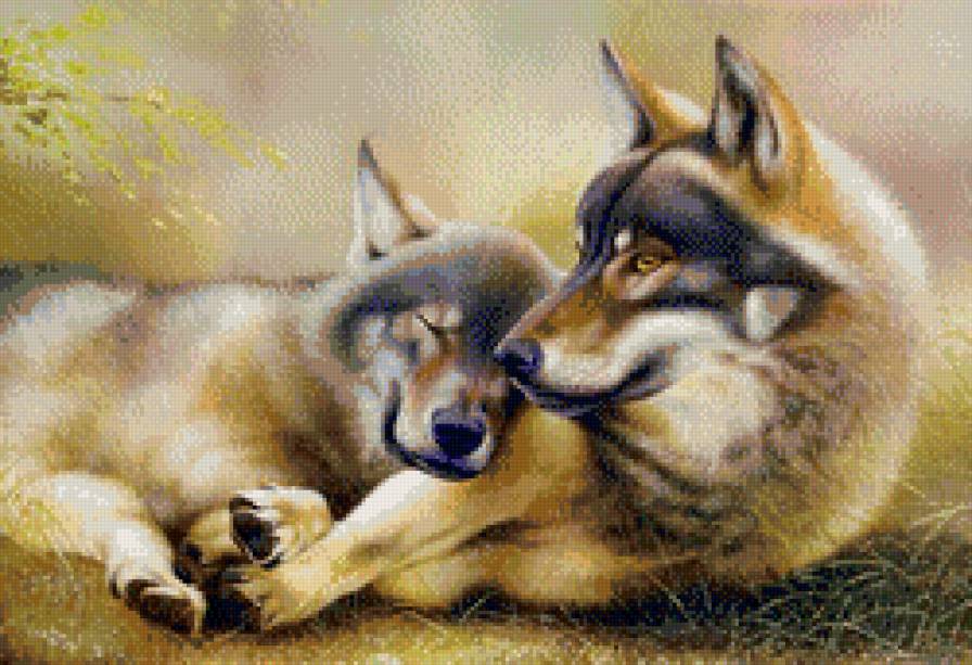 Волки - волки, животные, дружба - предпросмотр