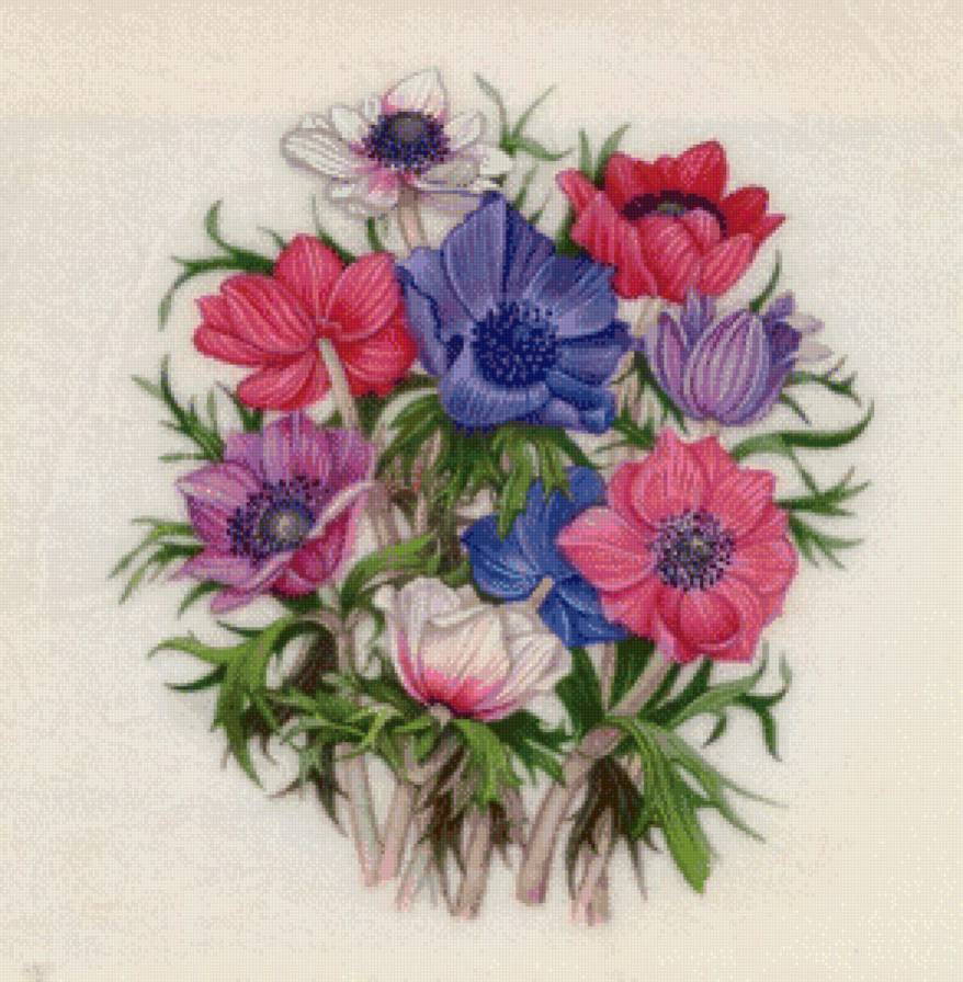 зимний букет - анемон, лиловые цветы, анемоны, красные цветы, букет, синие цветы - предпросмотр