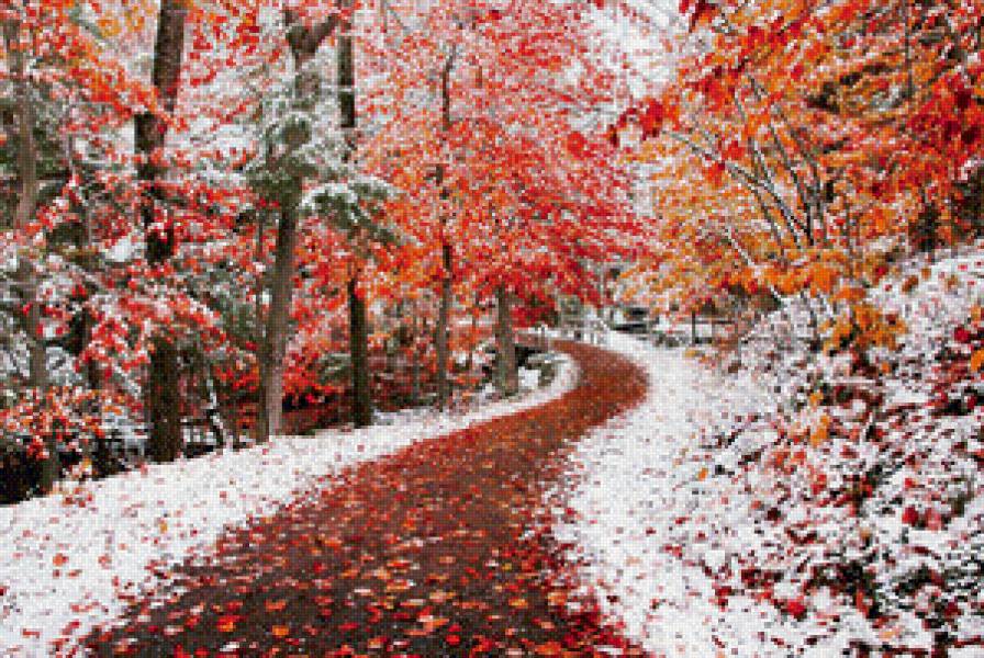 Первый снег - осень, снег, лес, деревья, природа - предпросмотр