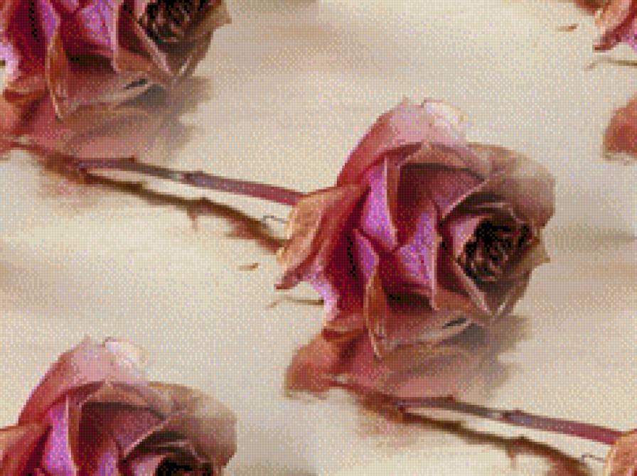 №490759 - предпросмотр