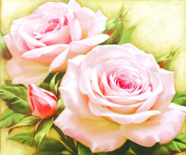 Розовые розы - розы, букет, цветы - оригинал