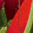 Предпросмотр схемы вышивки «полиптих "красные тюльпаны"» (№490888)