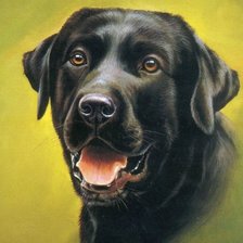 Схема вышивки «№490909»