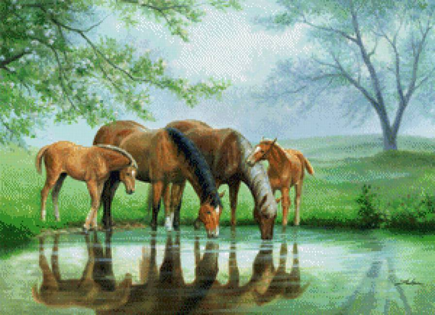 Лошади на водопое 2 - лошадь, семья, вода, животные - предпросмотр