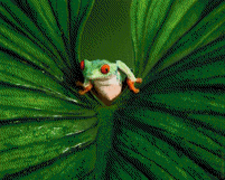 жабка - жабка на листике, лягушонок - предпросмотр