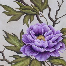 Схема вышивки «древесный пион»