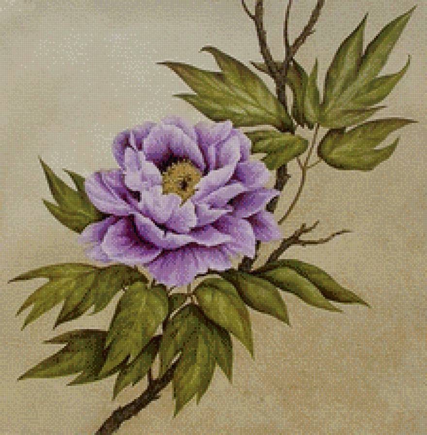 древесный пион - живопись, цветы - предпросмотр