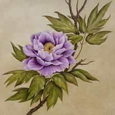 древесный пион