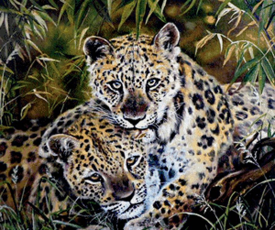 любовь в джунглях - взгляд, природа, леопард, пара, хищник, живопись - предпросмотр