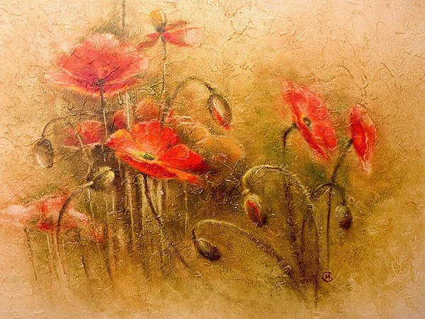 Маки - маки, цветы, поле - оригинал