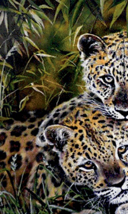любовь в джунглях часть 1 - хищник, пара, природа, живопись, взгляд, леопард - предпросмотр
