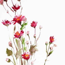 Схема вышивки «Полевые цветы»