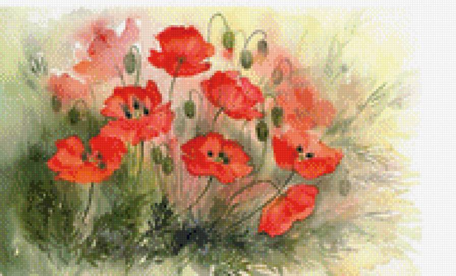 Маки - маки, поле, цветы - предпросмотр