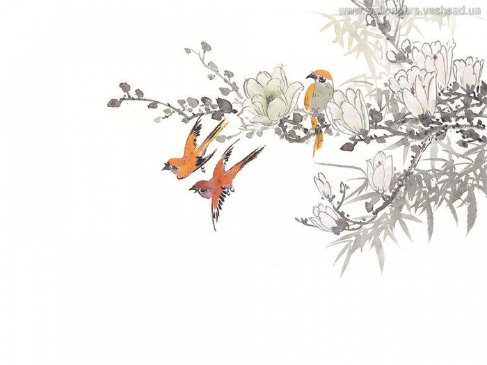 Птицы на ветке - птицы - оригинал