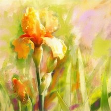 Схема вышивки «Ирис»