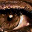 Предпросмотр схемы вышивки «Взгляд» (№491529)
