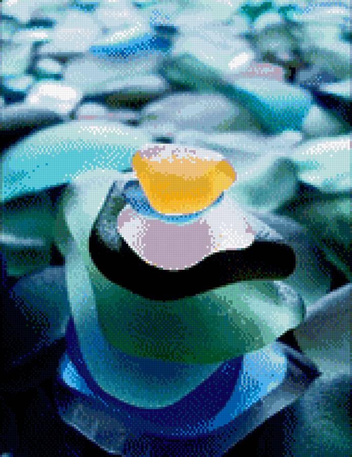 Камушки - камни, море, берег, пляж - предпросмотр