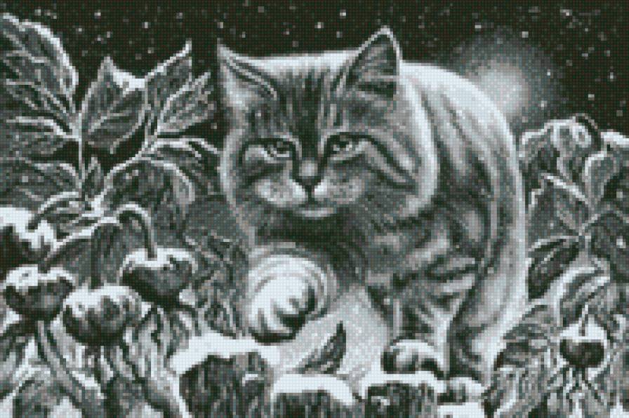 снежный кот - сказка, зима, луна - предпросмотр