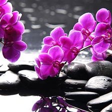 Схема вышивки «ветка»