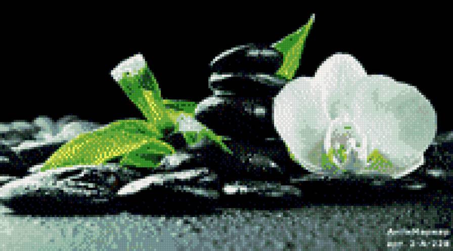 белая - предпросмотр