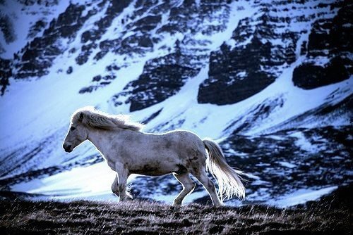 Ветер - конь - оригинал