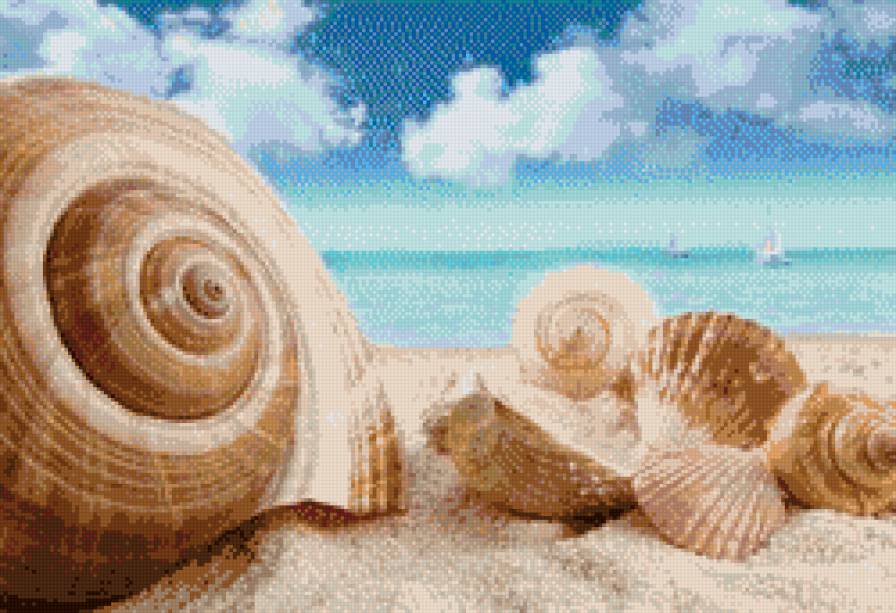 Ракушки - море, ракушки - предпросмотр