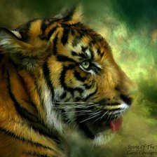 Схема вышивки «тигр»