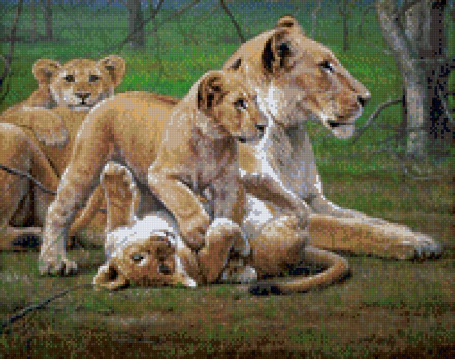 львица с детьми - львы - предпросмотр