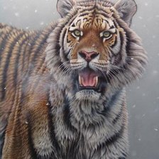 Схема вышивки «тигр»