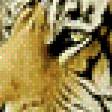 Предпросмотр схемы вышивки «тигр» (№492125)