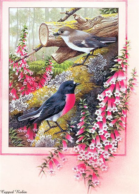 Птицы - птицы, цветы, деревья, пейзаж - оригинал