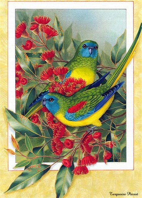 Птицы - пейзаж, птицы, цветы - оригинал