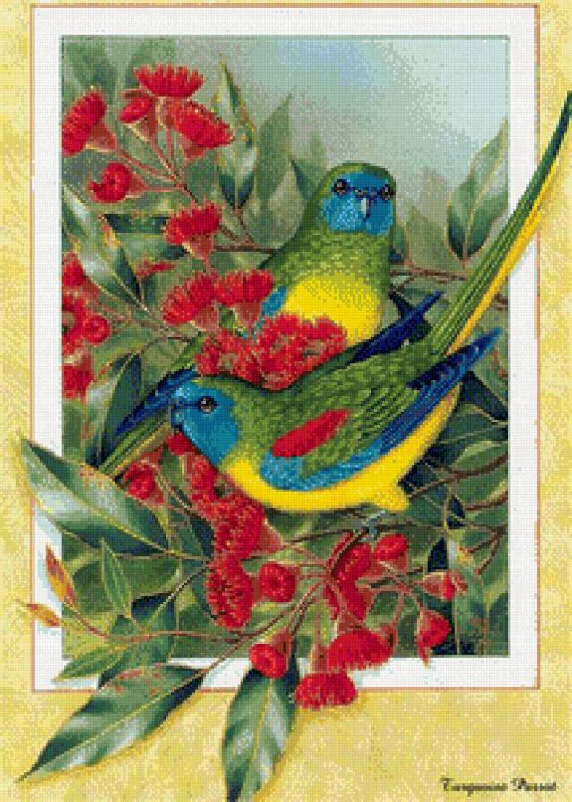 Птицы - цветы, пейзаж, птицы - предпросмотр