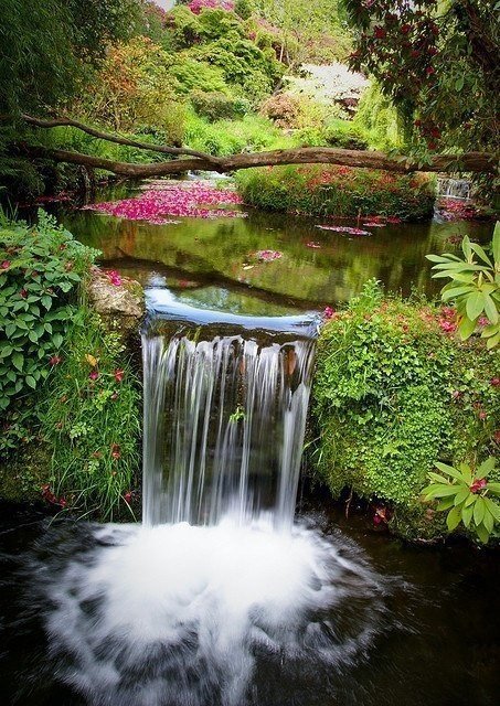 Водопадик в лесу - водопад, вода, лес, река - оригинал