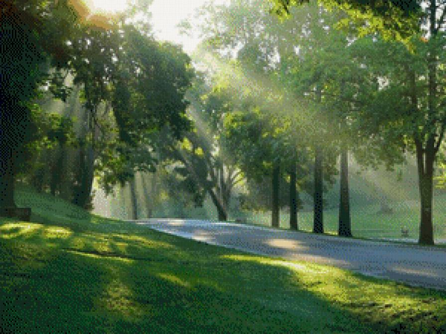 Зеленая аллея, 80 цветов - предпросмотр